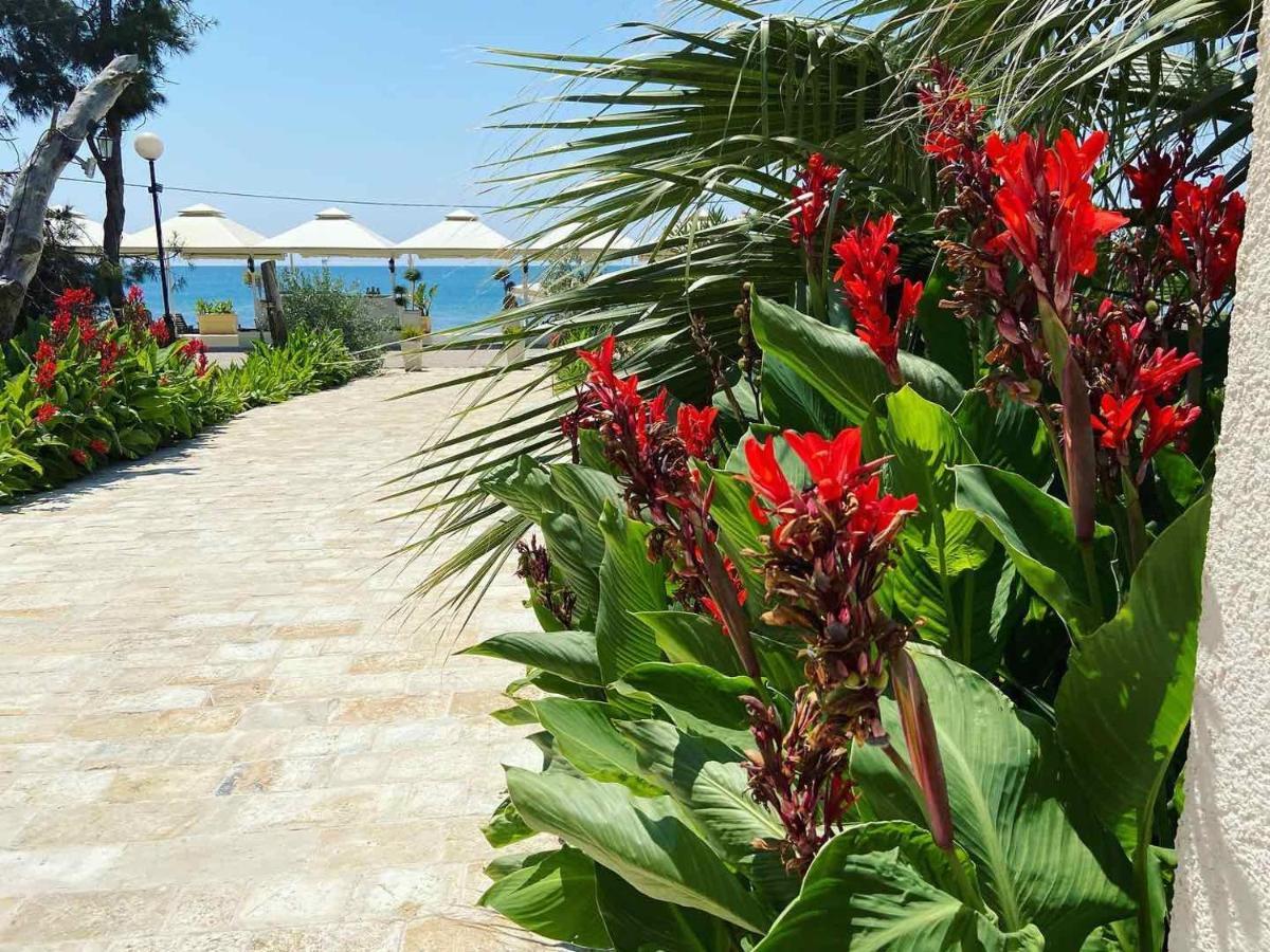 Apartments Kuce Lekovica Beach & Snack Bar- Bistro Екстериор снимка