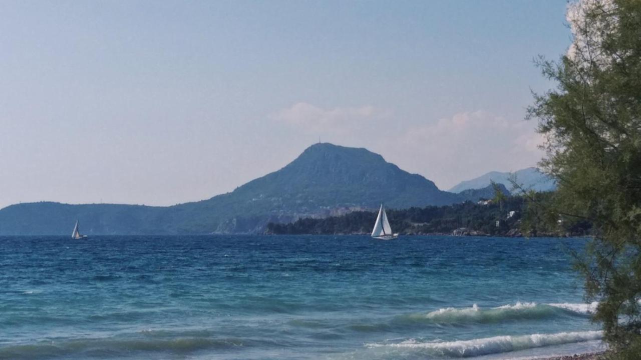 Apartments Kuce Lekovica Beach & Snack Bar- Bistro Екстериор снимка